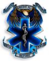 TRUE HEROS EMS