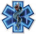 SILVER SNAKE EMT FULL DECAL SILVER SNAKE EMT FULL DECAL
