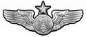 Air Force Senior Enlisted Aircrew Wings all Metal Sign (Small) 7 x 3"