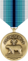 Coast Guard Arctic Service Medal Decal