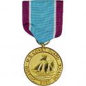 Distinguished Service Medal Full Size