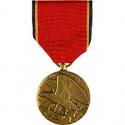 Naval Reserve Medal Full Size