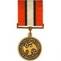 Multi-National Peacekeeping Force Medal Full Size