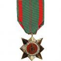 Civil Actions 1st Class Medal Full Size