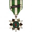 Vietnam Campaign Medal Full Size