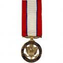 Distinguished Service Mini Medal Distinguished Service Mini Medal