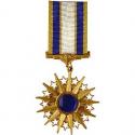 Distinguished Service Mini Medal