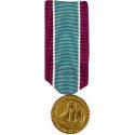 Distinguished Service Mini Medal