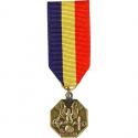 Navy/Marine Corps Mini Medal