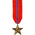 Bronze Star Medal Mini Dress