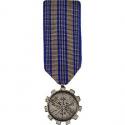 Achievement Mini Medal