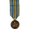 Outstanding Volunteer Service Mini Medal Outstanding Volunteer Service Mini Medal