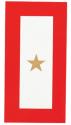 Gold Star 6 x 3 inch Auto Magnet