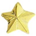 Gold Battle Star