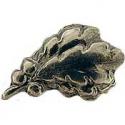 Bronze Oak Leaf
