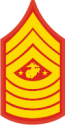 E-9 SGTMAJMC Sergeant Major Marine Corps (Gold) Decal