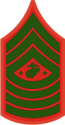 E-9 SGTMAJMC Sergeant Major Marine Corps (Green) Decal