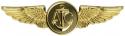 Navy Aircrew Gold Metal Auto Emblem