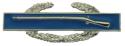 Army Combat Infantry Badge Metal Auto Emblem