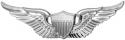 Army Pilot Wings Basic Metal Auto Emblem