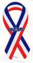 Navy Surface Warfare 8 inch Ribbon Magnet
