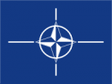 NATO Flag Decal