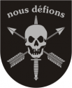Nous Defions Flash Decal