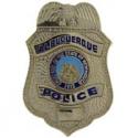 Albuquerque, NM Police Badge Pin