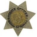 Palm Springs, CA Police Badge Pin