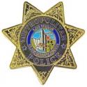 Las Vegas, NV Police Badge Pin