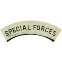Special Forces Tab Pin (Silver)