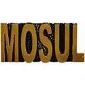 Operation Iraqi Freedom Mosul Script Pin 