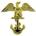 Navy Cadet Eagle Pin