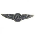 Navy Aircrew Wings Pin
