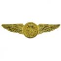 Navy Aircrew Wings Pin