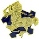 9th Calvalry Regiment Pin