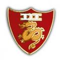 3rd Marine Amphibious Battalion Pin
