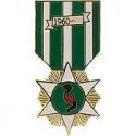 Vietnam Campaign Lapel Pin