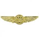 Navy Aircrew Wings Pin