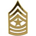 Army E9 SGM Rank Pin
