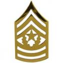 Army E9 CSM Rank Pin