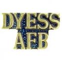 Air Force Script Dyess AFB Pin