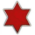 Sixth Infantry Division Pin
