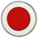 Thirty-Seventh Infantry Division Pin