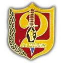 2nd Marines Regiment Pin
