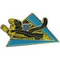 Air Force Flying Tigers Pin