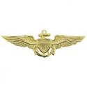 USN USMC Aviator Badge