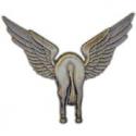 Flying Horse Wings Pin