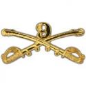 9th Cavalry Regiments  Cross Swords