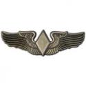 Air Force WASP Badge 
